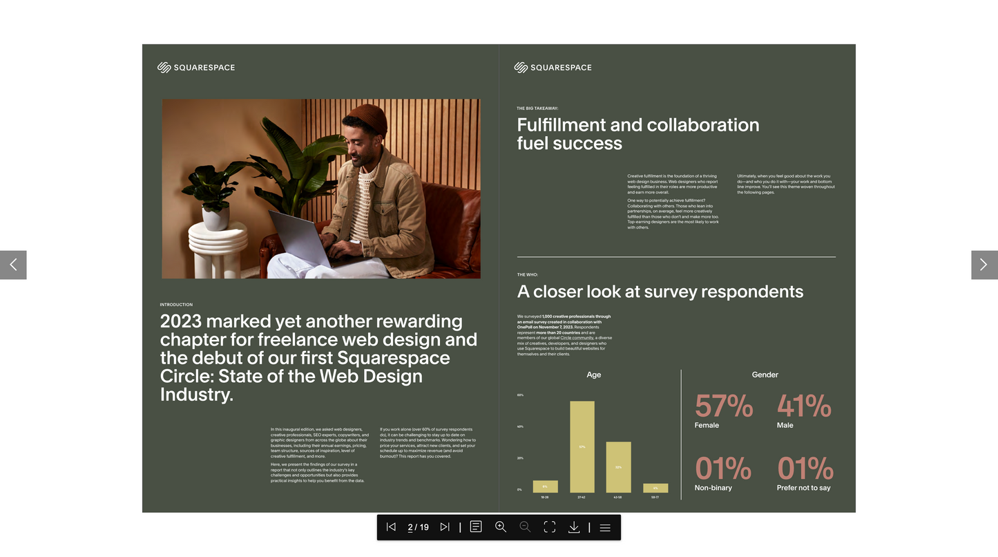 Squarespace Plugin: Paperless Flip