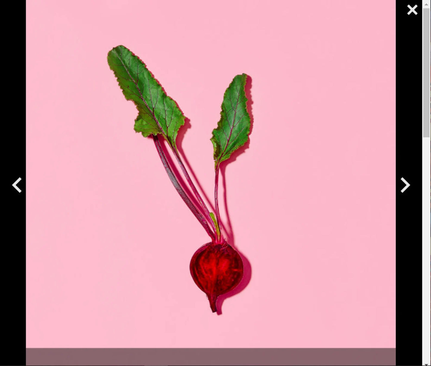 Squarespace Plugin: Pinch zoom Lightbox