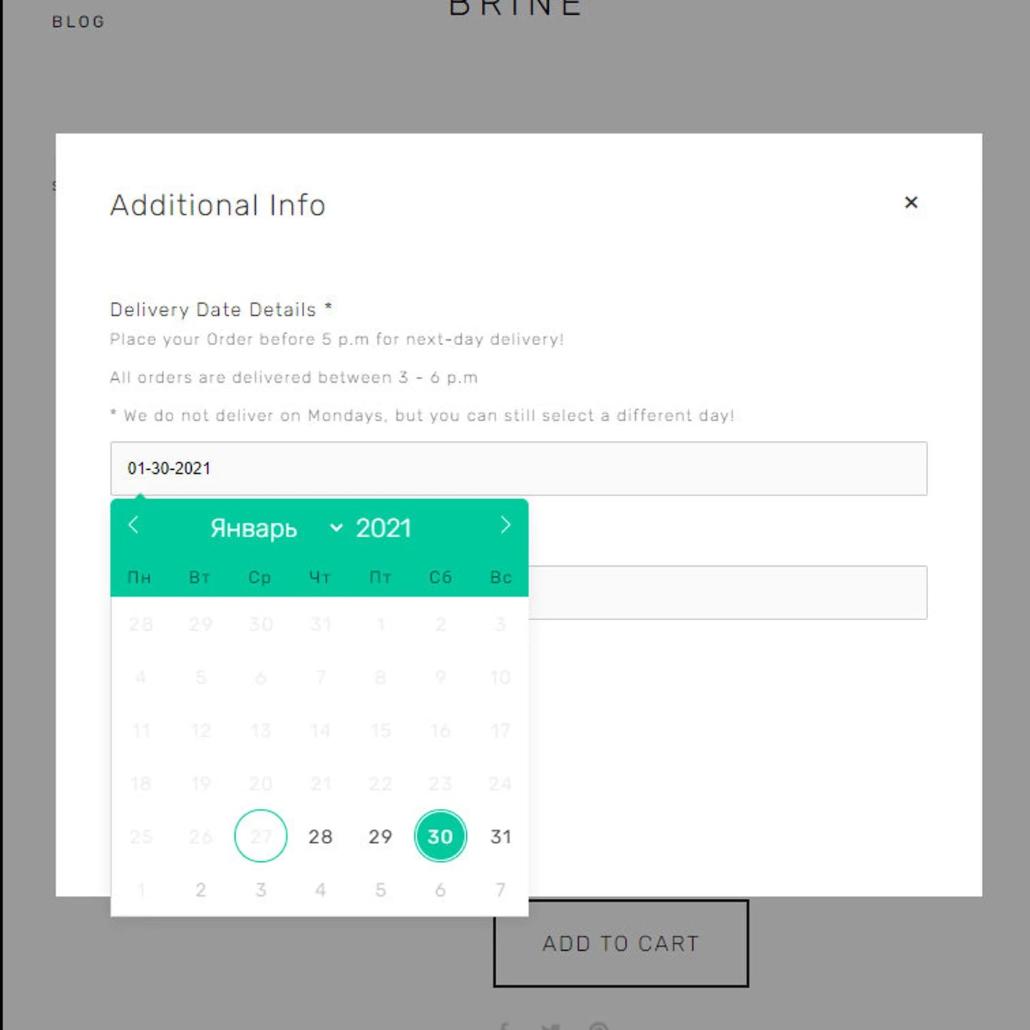 Squarespace Plugin: Datepicker Form field